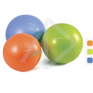 Sactiband Gym ball,1's