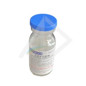 Cefgen without water for Injection