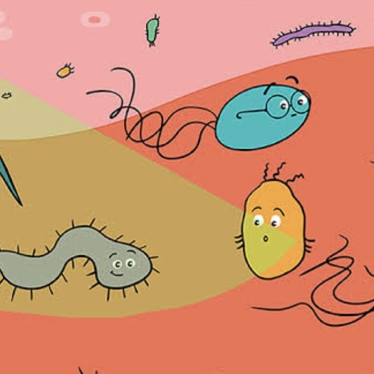 What If AMR Becomes a Worldwide Pandemic?